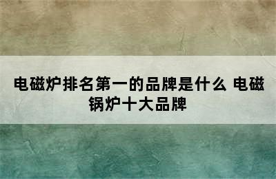 电磁炉排名第一的品牌是什么 电磁锅炉十大品牌